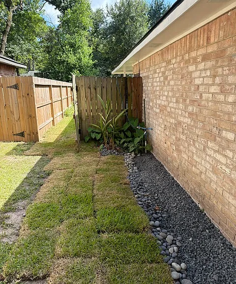 Side view