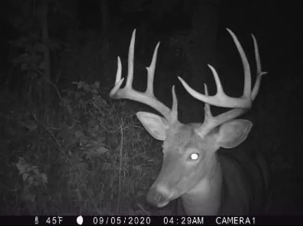 37.75 Ac Hwy #130, Hillpoint, WI 53937