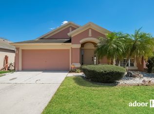 10317 Hunters Haven Blvd, Riverview, FL 33578