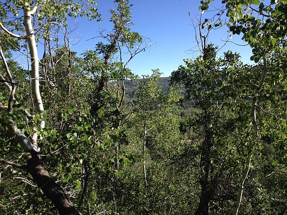 3rd image of 10555 Deer Creek- Lot 5