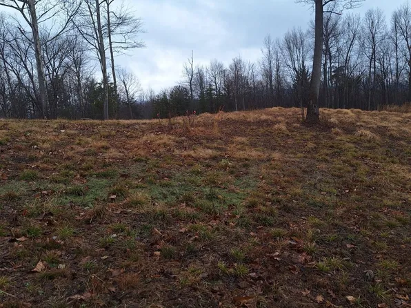 0 Johnnys Ridge Rd, Ferrum, VA 24088
