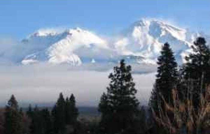 Mount Shasta View