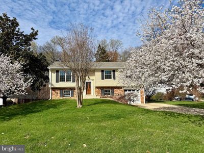 4501 Lantern Pl, Alexandria, VA, 22306
