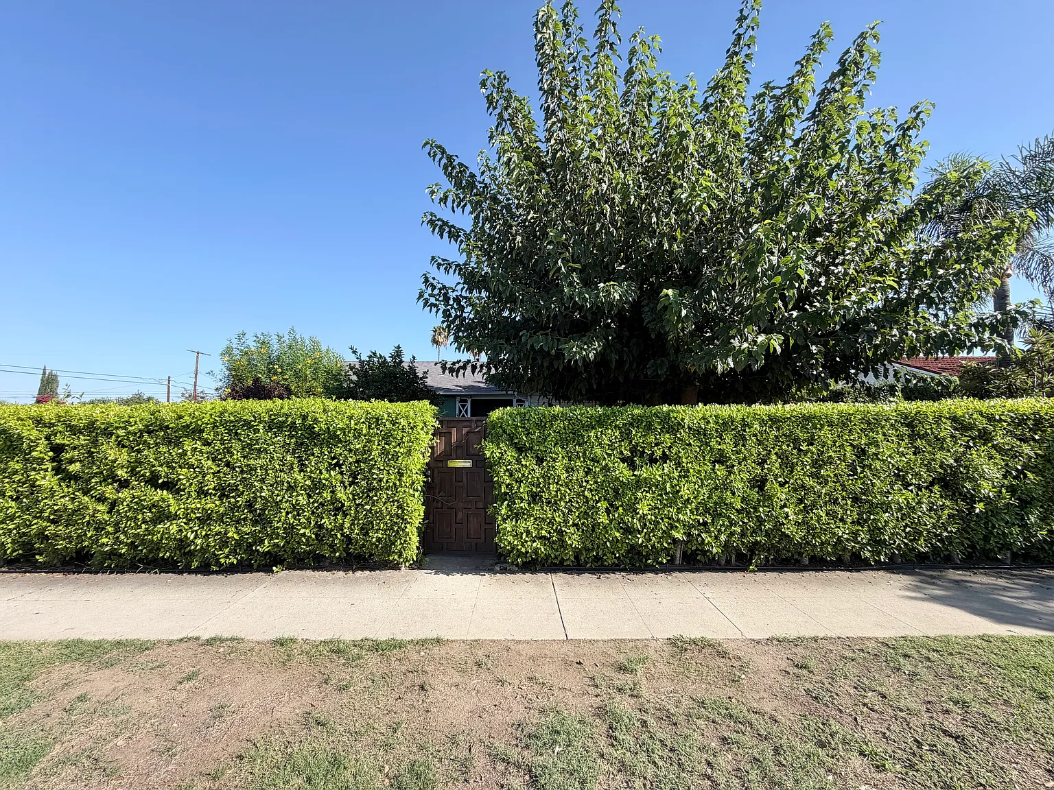 3 bed, 1262 sqft, $3,800 — Photo 1