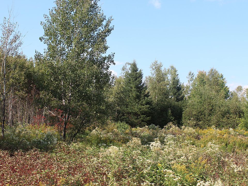 2nd image of lot 4 Woodrbridge Corner Roads
