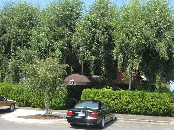 Front Guest Parking