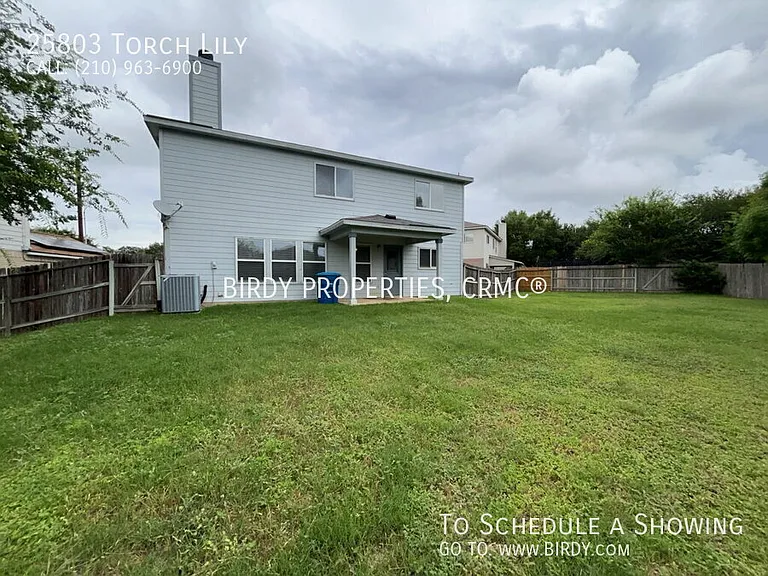 25803 Torch Lily — Photo 44