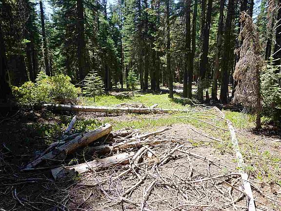 5th image of 1176 Cleghorn Dr