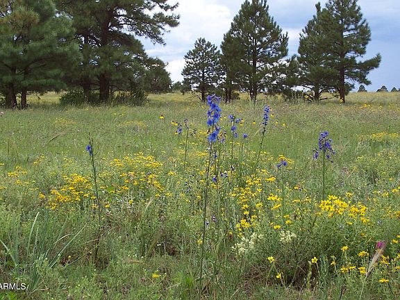 5th image of Lot 5 Red Cabin Ranch Unit II -- #5