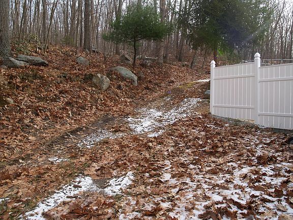 Private Backyard Area with Forrest