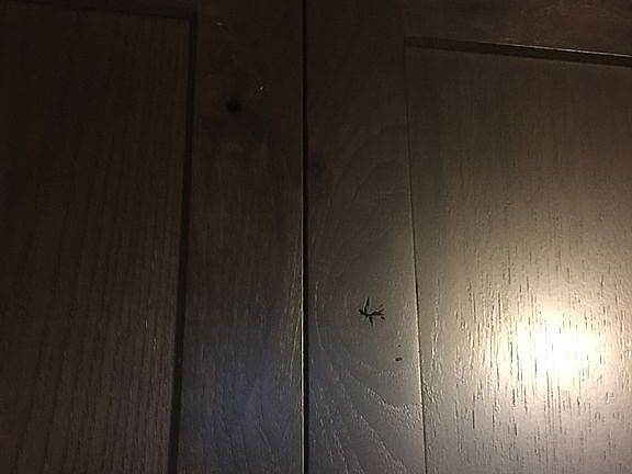 3rd image of 88249 Tiki Ln