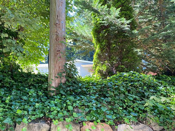 2nd image of 12204 121st Avenue Ct E