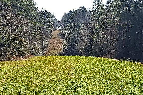 2nd image of 376 Old Highway 49 W