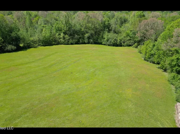 10553 Road 115, Union, MS 39365