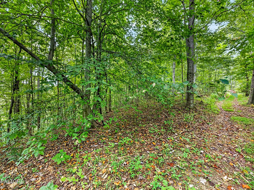 1st image of 29 Timber Ridge Ln