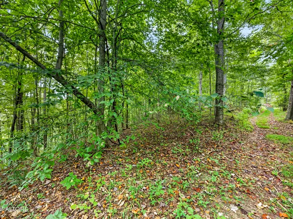 29 Timber Ridge Ln, Celina, TN 38551