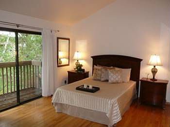 master / vaulted ceilings