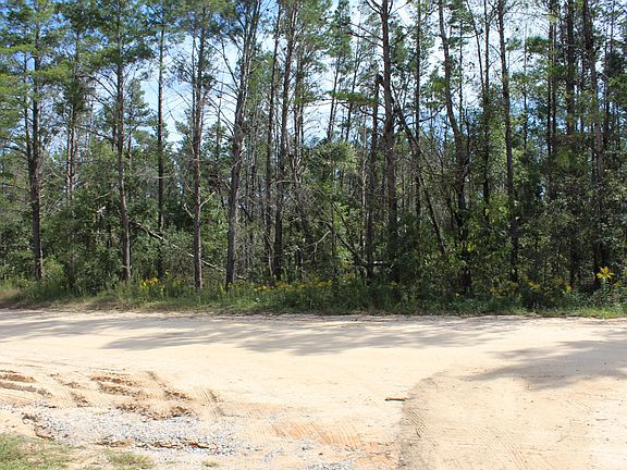 4th image of Hicks Lake Ln