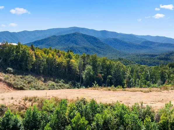 433 Caney Creek Rd, Cosby, TN 37722