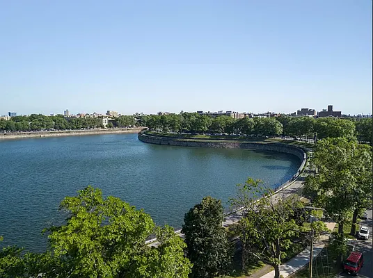 Rented by Reavis | media 16