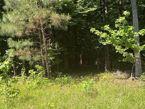 5th image of Near Cooks Mill Rd