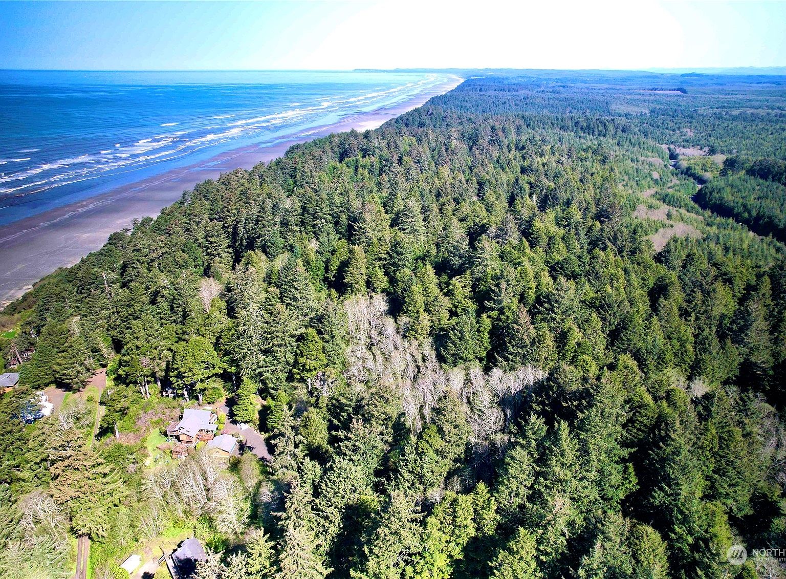 105 Copalis Rock Upper Lane, Copalis Beach, WA 98535 MLS 2143092
