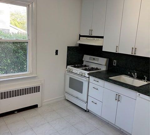 3rd image of 261 Schenck Ave Floor 1