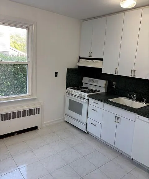 261 Schenck Ave #1 — Photo 3