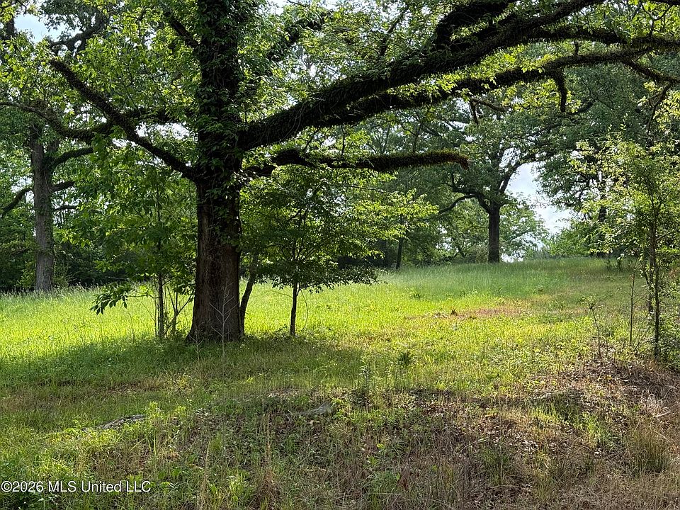 1st image of Scales Rd