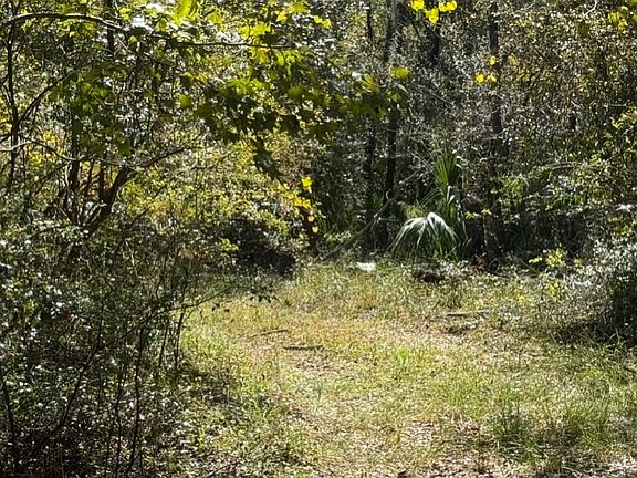 2nd image of 123 SE Suwannee Trl