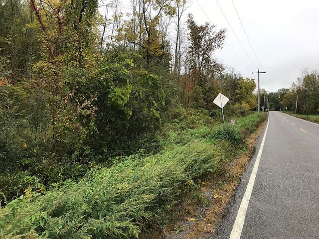 2nd image of 11076 Rapids Rd