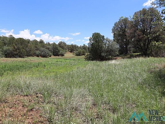 3rd image of Wagon Ridge Rd
