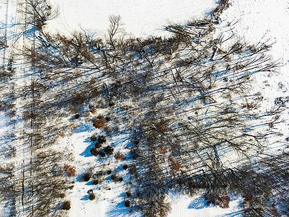 3rd image of Cemetery St