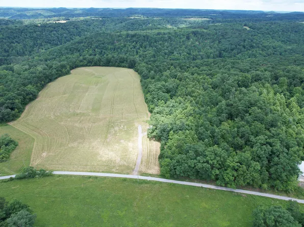 McRoberts Rd, Wallingford, KY 41093