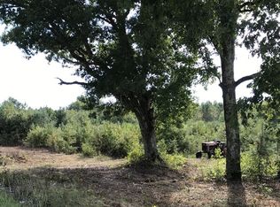 0 Huckleberry Bottom Rd, Roanoke Rapids, NC 27870