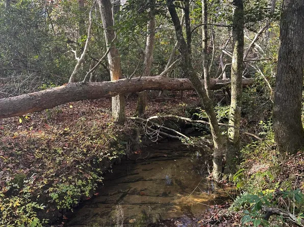 4982 Colony Rd #6, Gruetli Laager, TN 37339