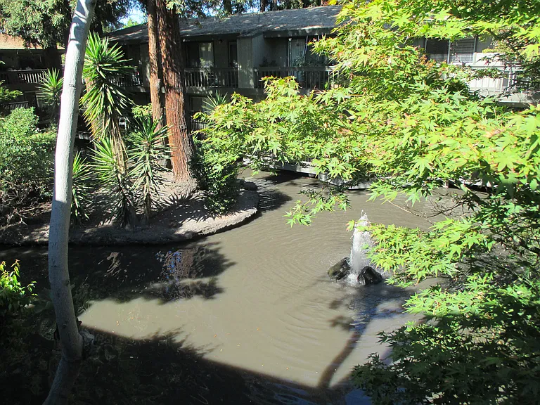 Your Deck View