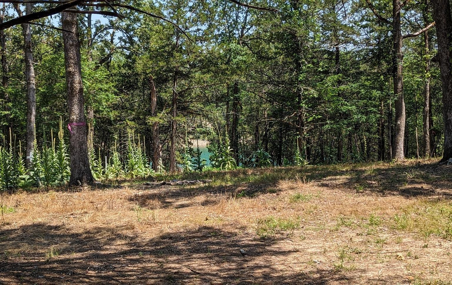 00110965000 Mc 2028, Yellville, AR 72687 Zillow