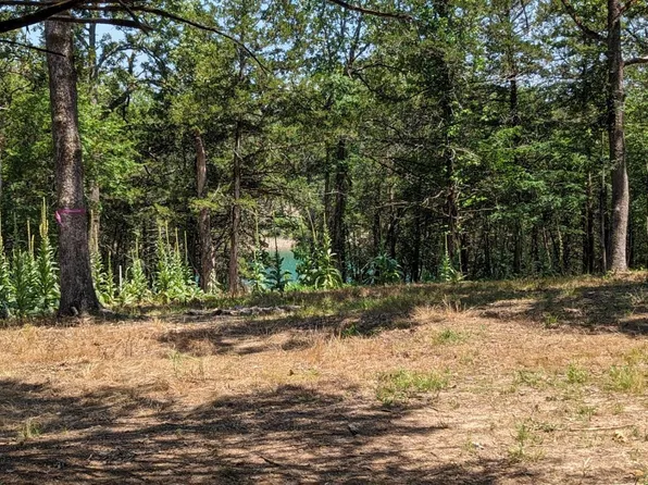 001-10965-000 Mc #2028, Yellville, AR 72687