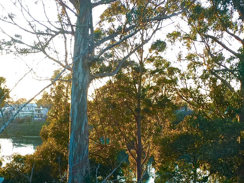 View from deck