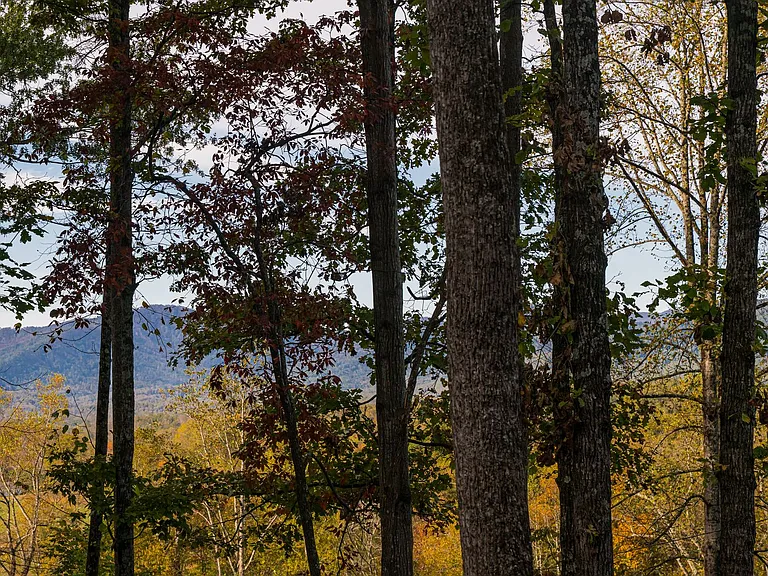 1487 Golf Course Rd — Photo 44