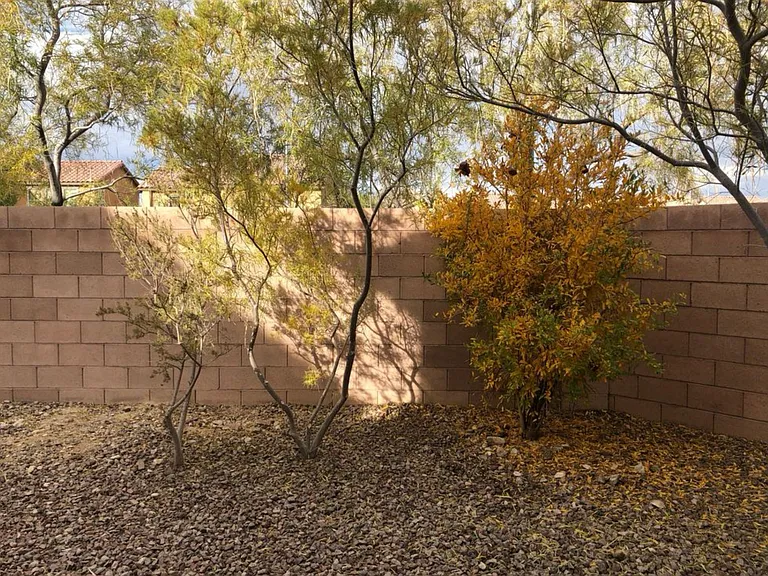 76 Dark Creek Ave — Photo 38