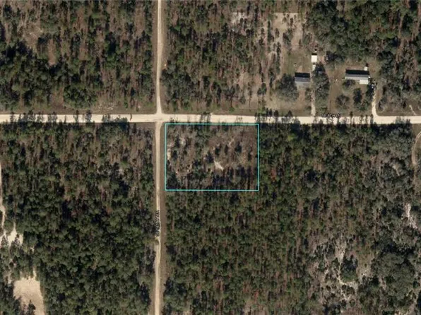 NE 147th Ter Lot 6, Williston, FL 32696