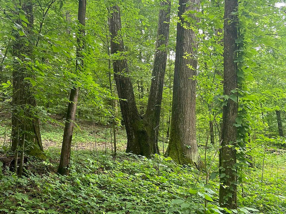 431AC Scottsboro Hwy, Scottsboro, AL 35769 MLS 1834618 Zillow