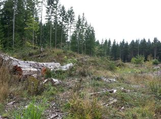 707 408th St E, Roy, WA 98580