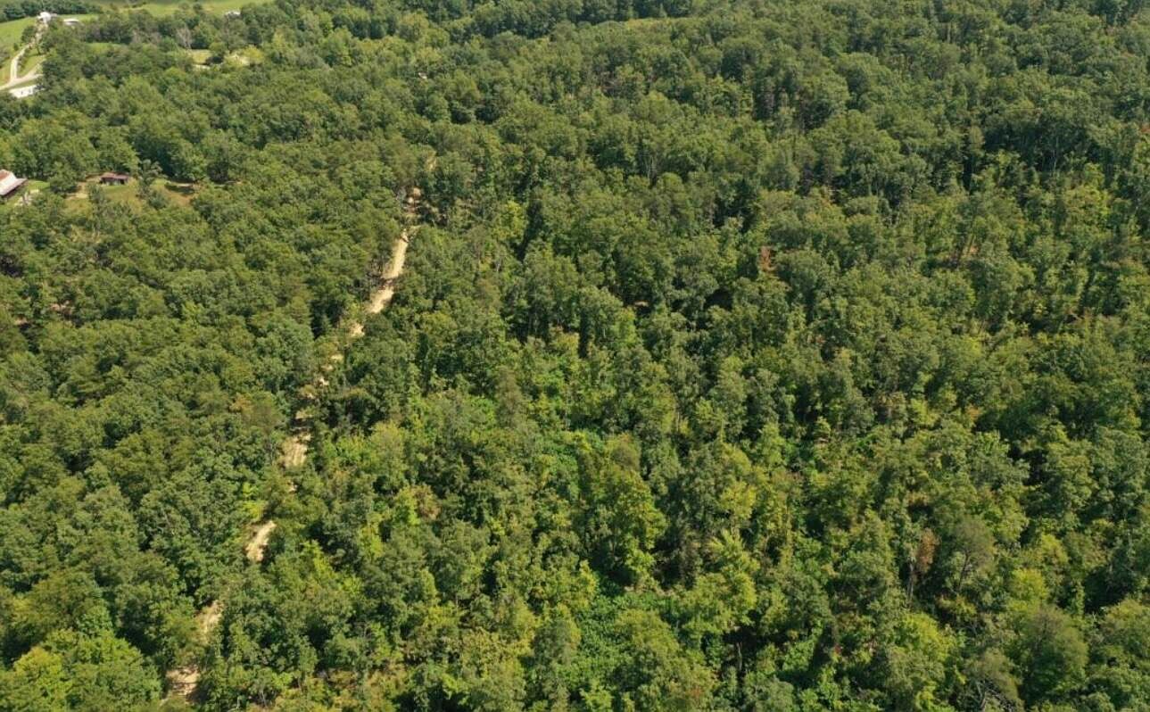 TRACT Sawmill Rd 134&5, Jeffersonville, KY 40337 MLS 23019806