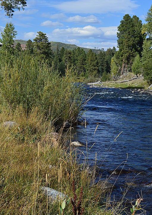 1st image of 11269 County Road 501