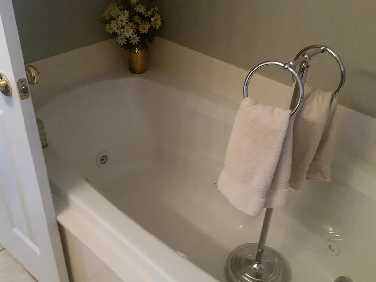 Master bedroom with full size whirlpool tub