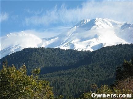 View of Mount Shasta from backyard