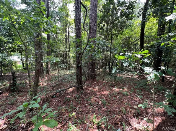 4905 Leland Dr, Northport, AL 35473